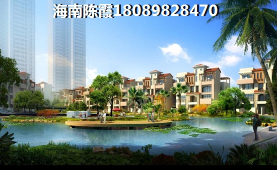 海南八所镇有什么发展前景？