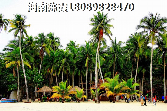 在独栋奥线大厦买房后悔吗（北京房价涨跌分析）