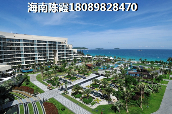 麓鸣海入住率怎么样？