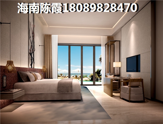 海南的区域纸得购买吗（海南适合买房子的城市）