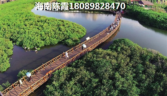 深圳是中央管还是广东省管 深圳是中央管还是广东省管